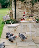 Chickens on terrace, pears and wine on a patio table