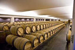 Wein lagert in Holzfässern (Weingut Château Lynch-Bages, Frankreich)