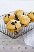 Blueberry muffins on a wire rack