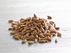 Organic spelt grains