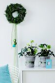 A wreath on the wall, pot plants and Christmas decoration