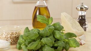 Ingredients for pesto alla genovese