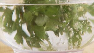 A bunch of parsley being taken out of a bowl of water