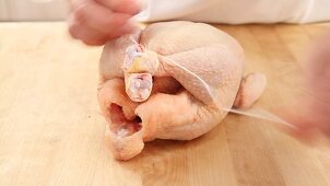 A whole chicken being tied with kitchen twine