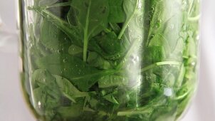 Spinach being pureed