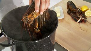 Putting lobster into hot water