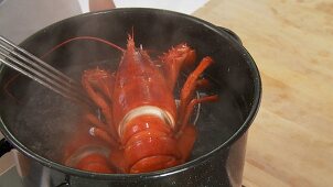 Cooked lobster being removed from the pot