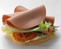 Open Bologna Sandwich