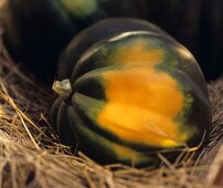 Ein einzelner Eichelkürbis (Acorn Squash) auf Heu