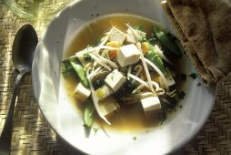 Gemüsesuppe mit Sprossen und Tofu auf weißem Teller