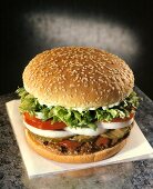 Grilled Hamburger with Lettuce, Tomato and Onion