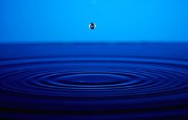 A Water Drop