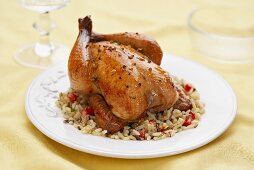 A Roasted Cornish Game Hen on a Bed of Rice