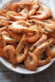 Platter of Boiled Whole Shrimp