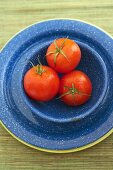 Drei Tomaten in blauer Schale