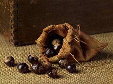 Guarana seeds in a leather pouch
