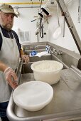 Curds in Molds