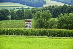 Silo in Corn Field in Pennsylvania 