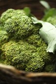 Brokkoli im Korb (Nahaufnahme)