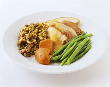 Single Serving of Turkey Dinner on a White Dish