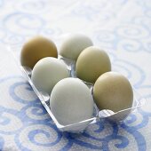 Rohe Eier in Plastik-Eierhalter