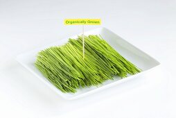 Organic Wheat Grass on a White Dish with Tag