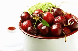 Container of Fresh Red Cherries; Wet