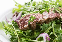 Grilled Steak and Red Onion Salad