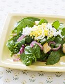 Serving of Spinach Salad