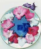 Rosa und weiße Blüten im Kreis auf einem Teller arrangiert