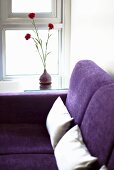 Violette Couch mit zwei weissen Sofakissen am Fenster und ein roter Nelkenstrauss auf der Fensterbank