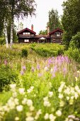 Blick über grosses Wiesenfeld auf zwei Holzhäuser mit Giebeldach