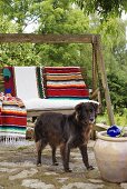 Hund vor Hollywoodschaukel mit folkloristischen Decken auf Natursteinterrasse
