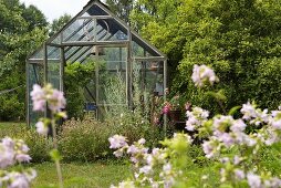 A greenhouse in a garden with blooming white flowers