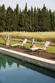 Lounge chairs with cushions, poolside with a view of a field of grain