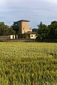 View across a field of grain of a Mediterranean villa with a tower