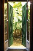 Open terrace door with green wooden shutters and a view of palms
