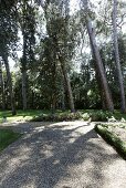 Gravel path in a garden with old trees