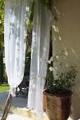 Airy curtains and antique copper planters in front of the corner of a house and terrace