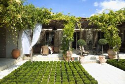 Low border and planters in front of the terrace of a Mediterranean villa