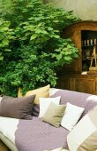 Sofa mit Kissen vor baumgrossen Zimmerpflanzen