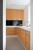 Modern kitchen with orange units