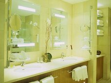 Twin washbasins set in unit with mirrors above