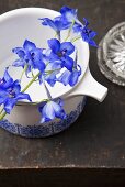 Delphiniums on a white jug and a grey surface