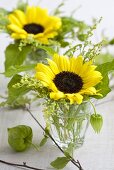 Sonnenblumen mit Solidago & grünen Lampionblumen