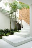 An elegant flight of stairs in a hallway with green plants