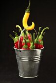 Chillies in a metal bucket