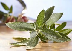 A sprig of sage