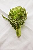 An artichoke