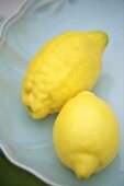 Two lemons on blue plate